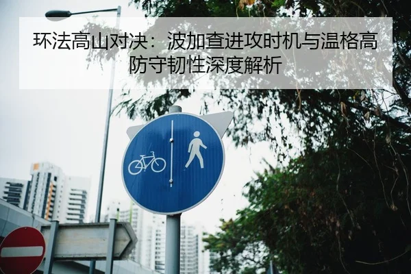 环法高山对决：波加查进攻时机与温格高防守韧性深度解析