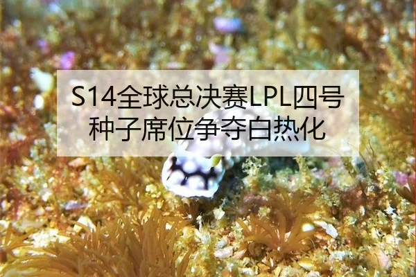 S14全球总决赛LPL四号种子席位争夺白热化