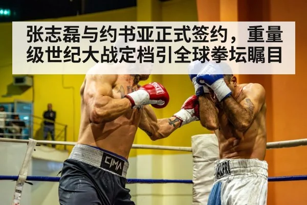 张志磊与约书亚正式签约,重量级世纪大战定档引全球拳坛瞩目