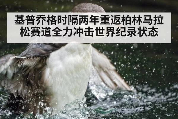 基普乔格时隔两年重返柏林马拉松赛道全力冲击世界纪录状态